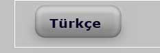 Turkce